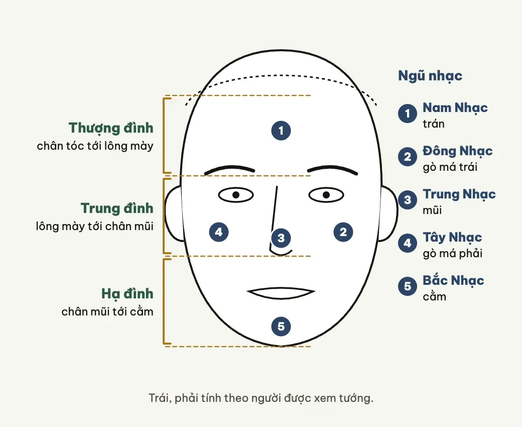 Tam đình chia khuôn mặt làm ba, ngũ nhạc là năm chỗ nhô cao.