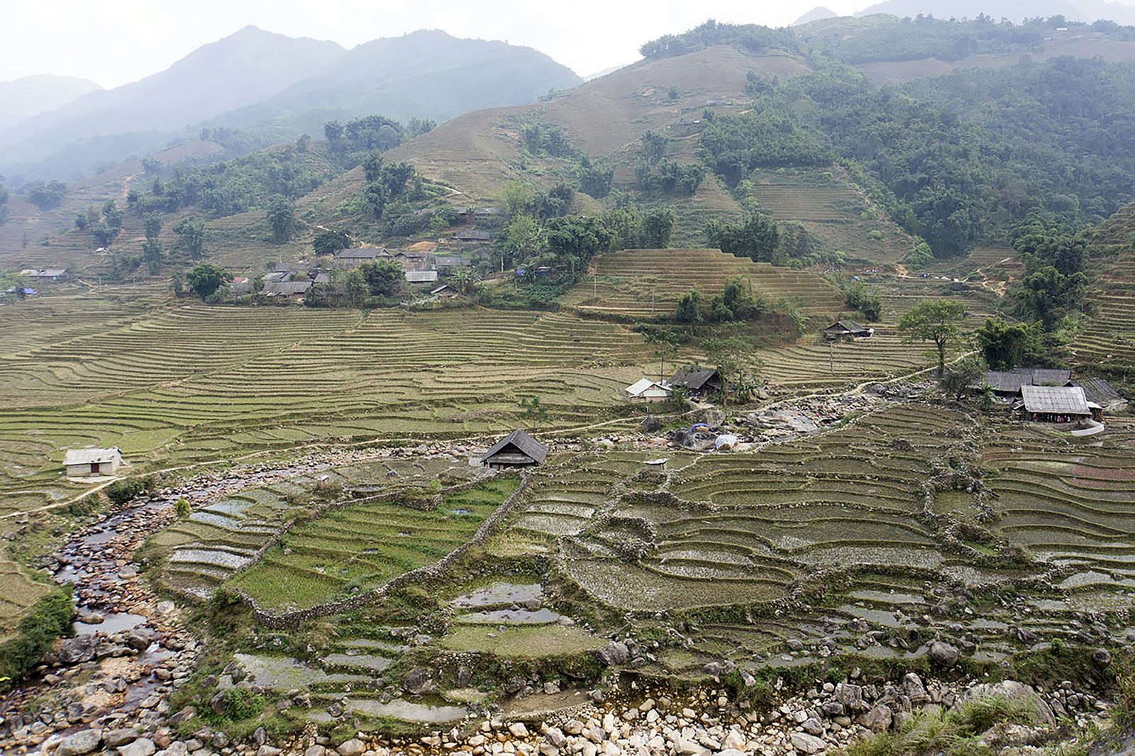 Ruộng bậc thang giữa thung lũng núi Sa Pa, Lào Cai