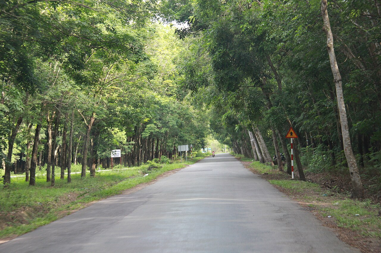 Địa Chi là gì?