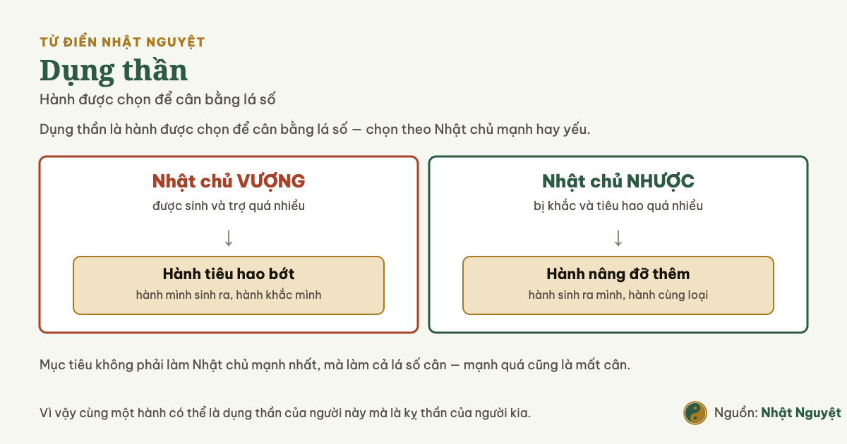 Sơ đồ cách chọn dụng thần theo Nhật chủ vượng hay nhược để cân bằng lá số bát tự