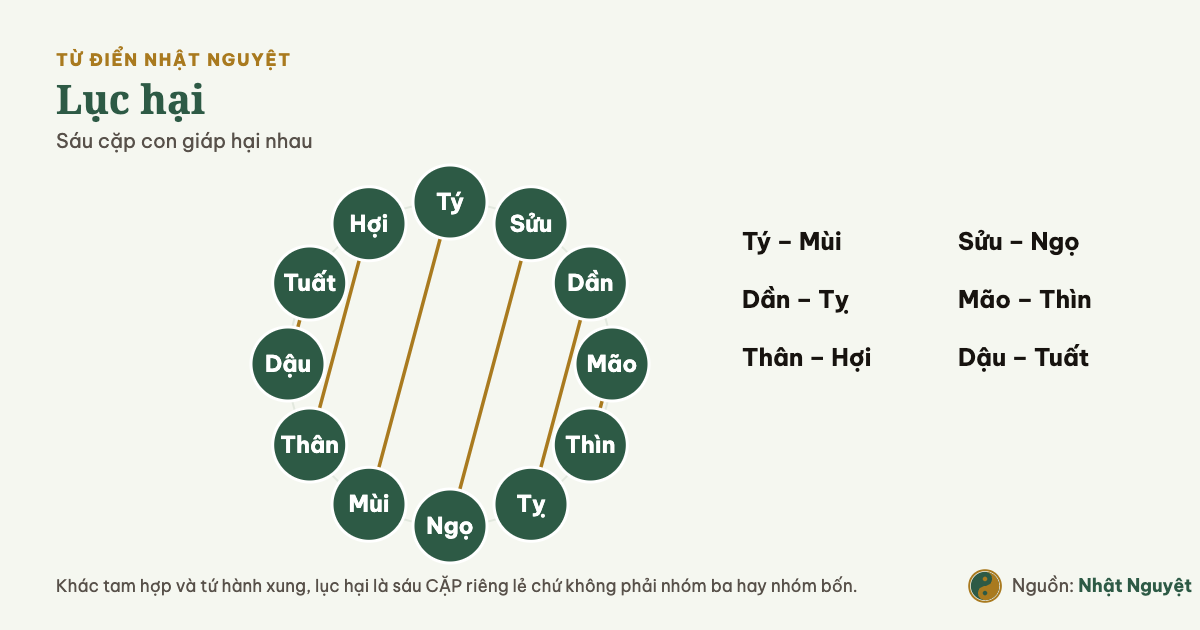 Sơ đồ lục hại: sáu cặp địa chi hại nhau nối bằng dây cung trên vòng mười hai chi