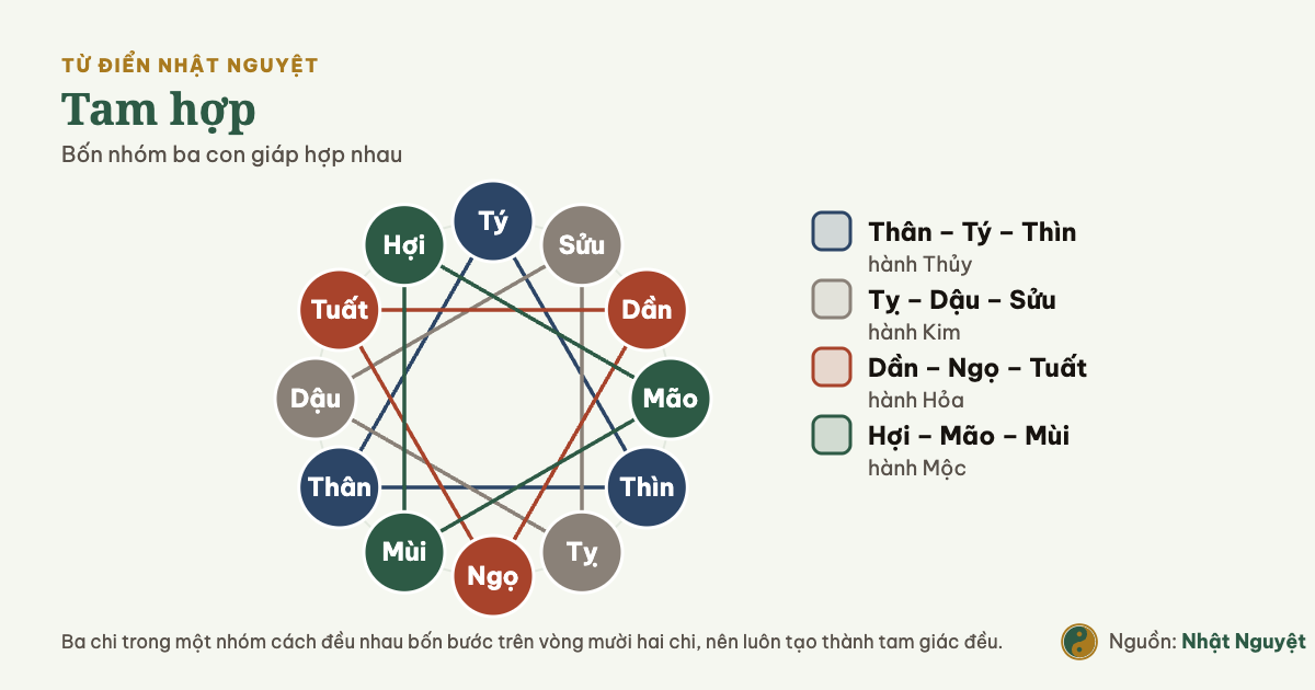 Sơ đồ tam hợp: mười hai địa chi trên vòng tròn, bốn nhóm ba chi nối thành bốn tam giác đều theo bốn hành