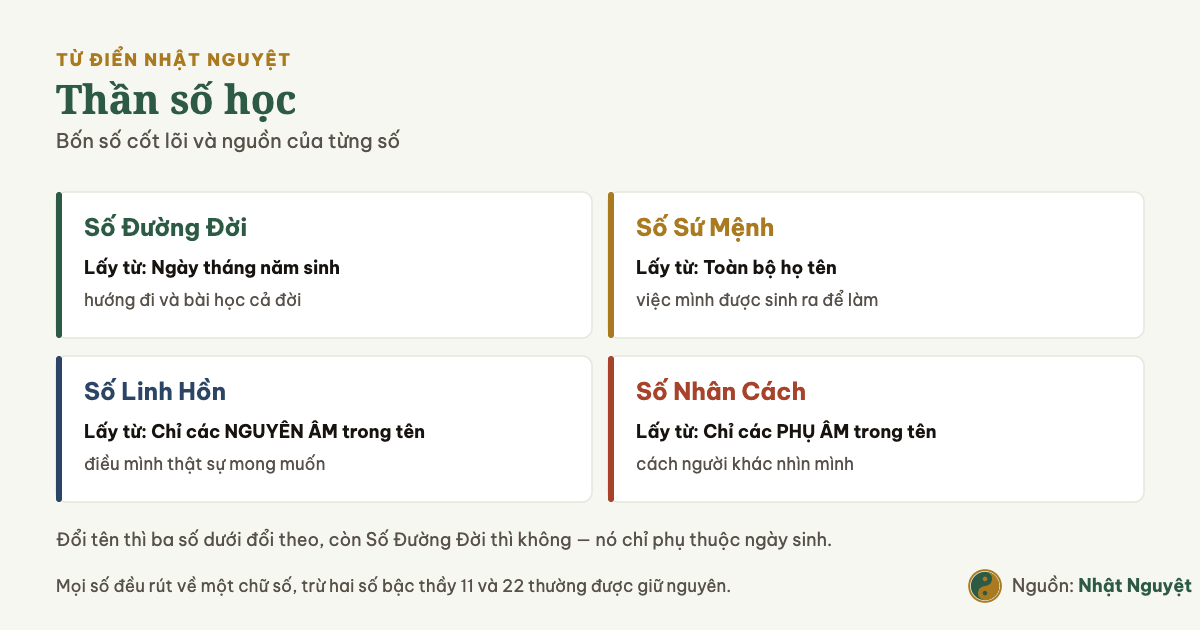 Sơ đồ bốn số cốt lõi của thần số học và nguồn của từng số: ngày sinh, toàn bộ tên, nguyên âm và phụ âm