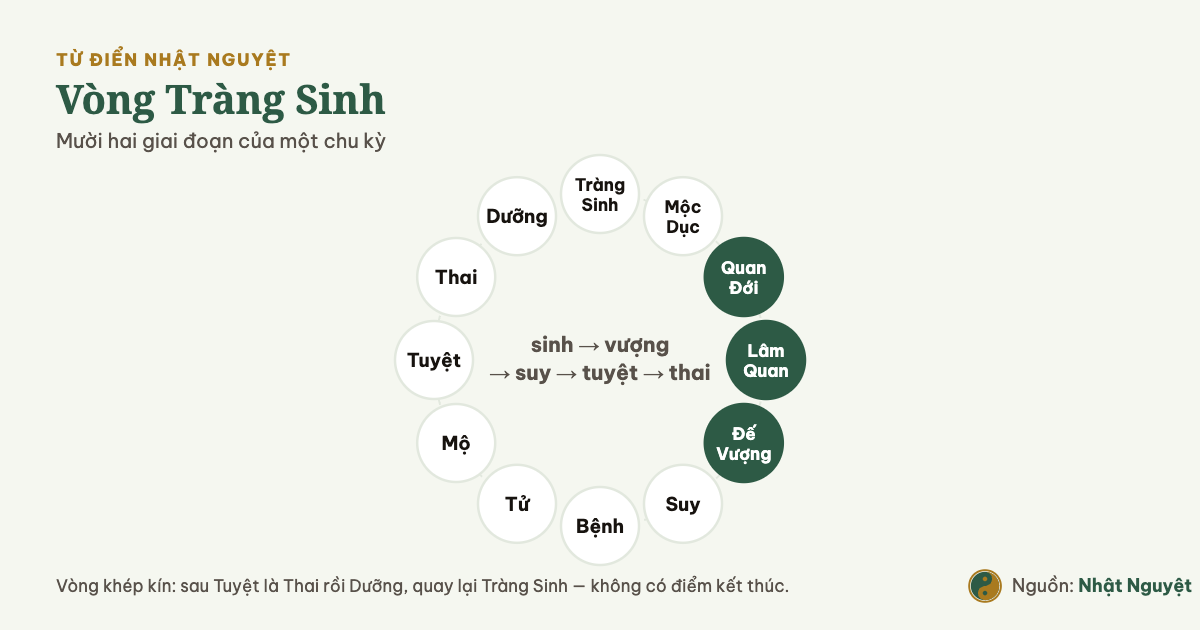 Vòng Tràng Sinh mười hai giai đoạn từ Tràng Sinh qua Đế Vượng tới Tuyệt rồi Thai và Dưỡng