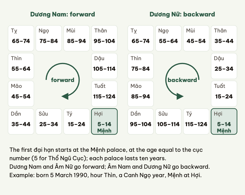 Đại hạn periods run forward or backward by the birth year's yin-yang and the person's sex.