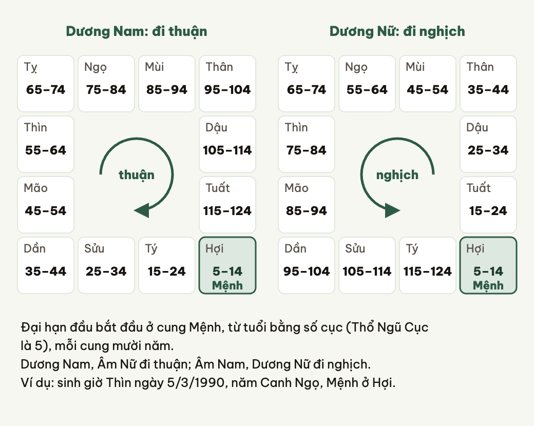 Đại hạn đi thuận hay nghịch tùy âm dương của năm sinh và giới tính.