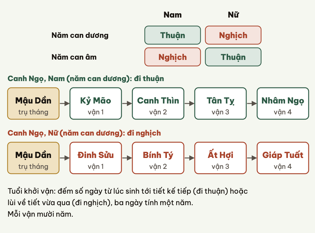 Đại vận đi từ trụ tháng, thuận hay nghịch theo giới tính và âm dương can năm.