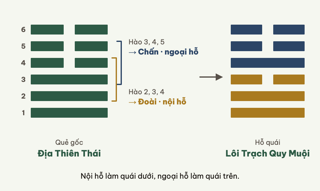 Hỗ quái lấy hào 2 tới 4 làm quái dưới, hào 3 tới 5 làm quái trên.