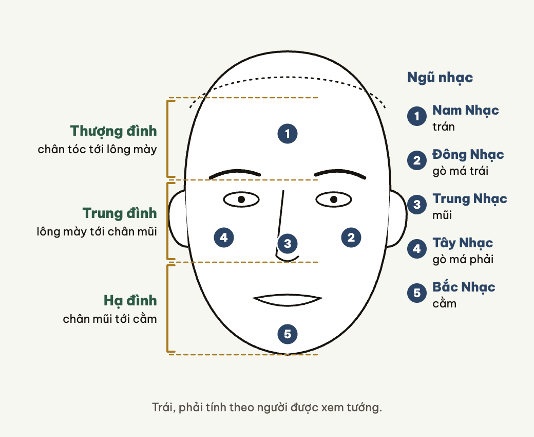 Tam đình chia khuôn mặt làm ba, ngũ nhạc là năm chỗ nhô cao.