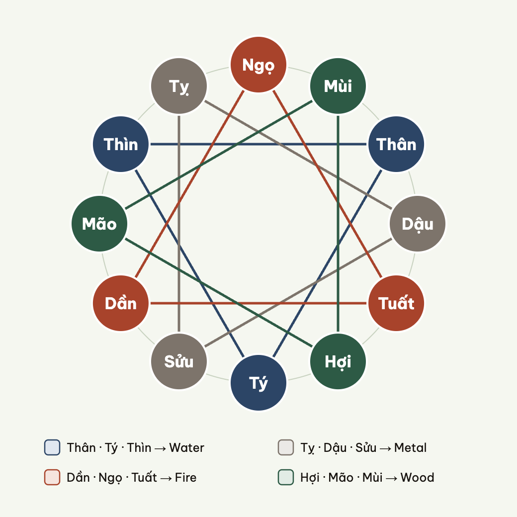 Tam Hợp: three branches four steps apart form an equilateral triangle.