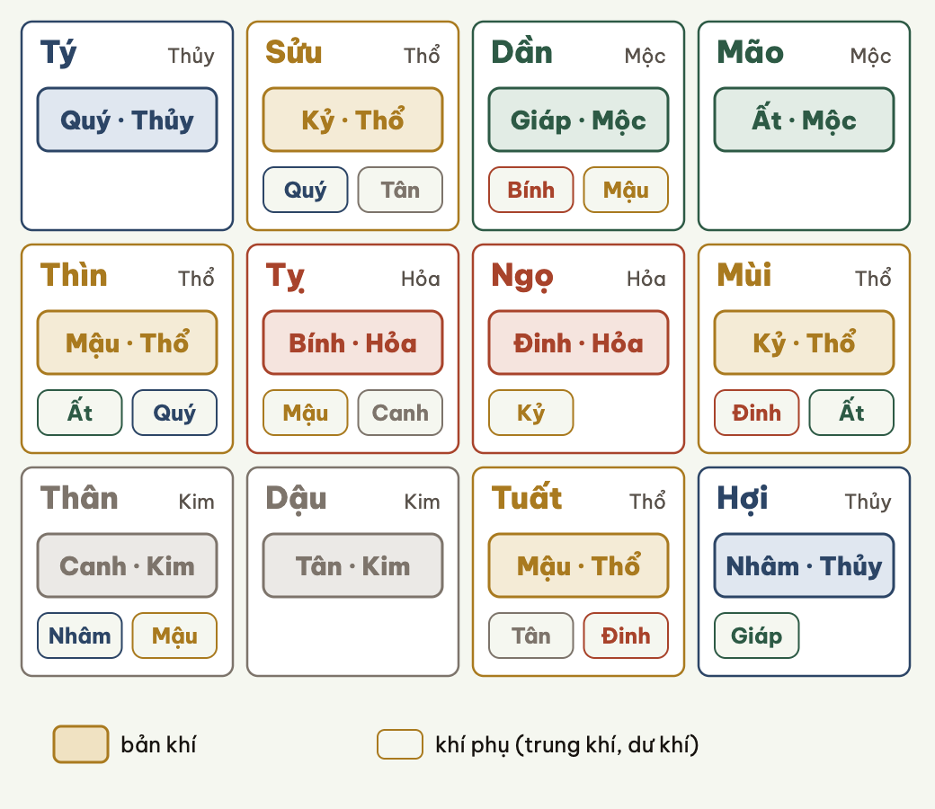 Tàng can: các thiên can ẩn trong mỗi địa chi, bản khí đứng đầu.