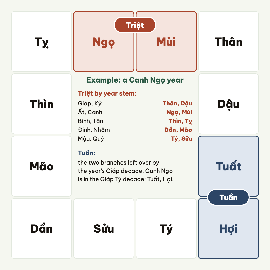 Tuần and Triệt sit on the border between two palaces; example: a Canh Ngọ year.