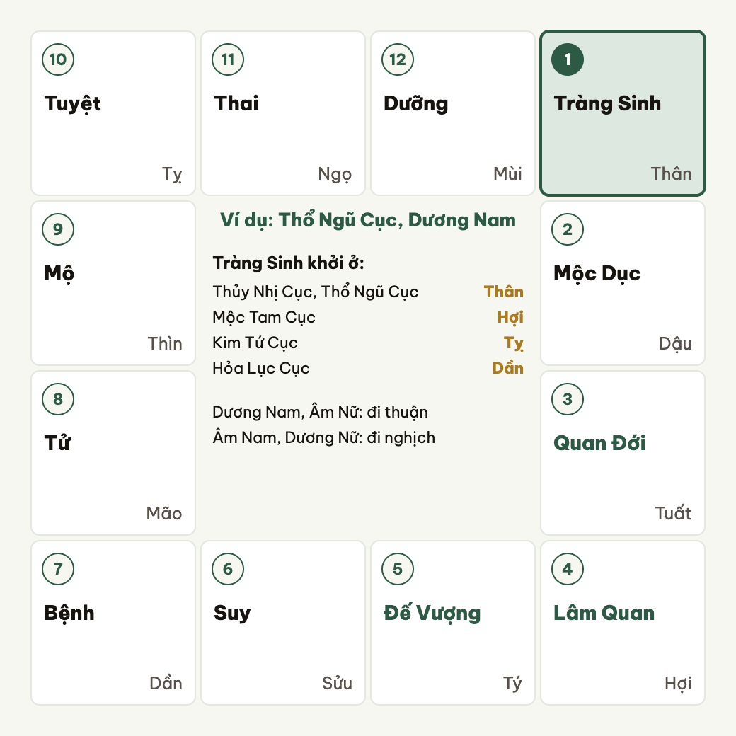 Vòng Tràng Sinh khởi theo cục, đi thuận hay nghịch theo âm dương nam nữ.